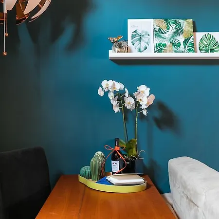 Apartment Meraki